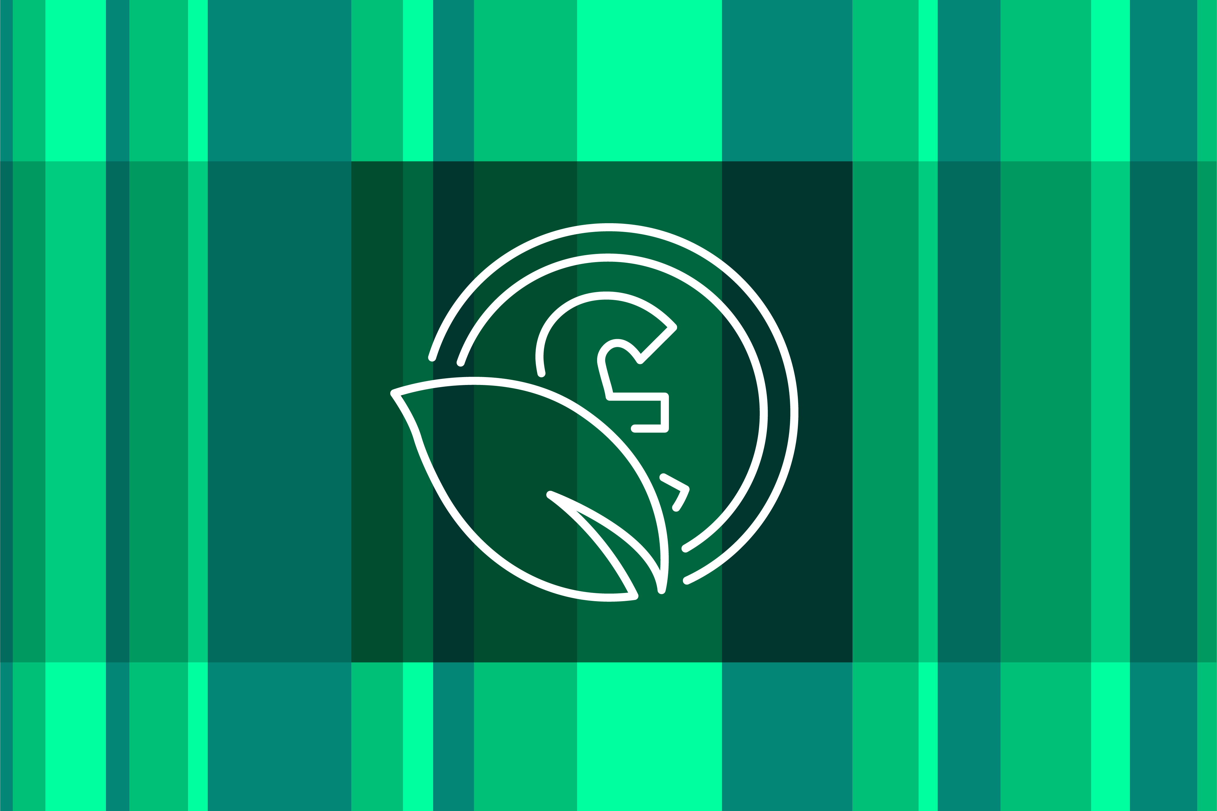 Finance Local Government Association